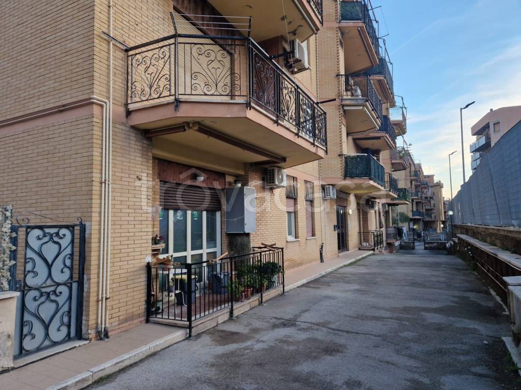 immagine annuncio 14 di 15