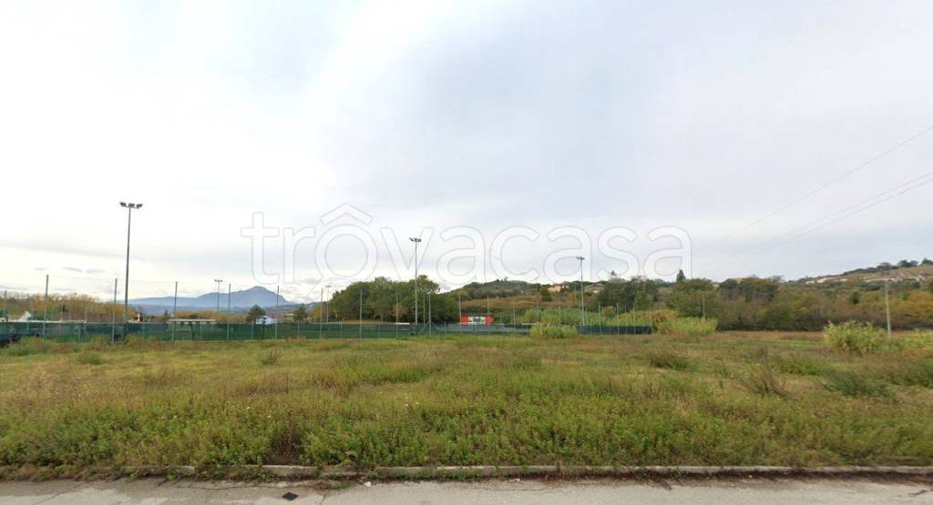 immagine annuncio 6 di 14