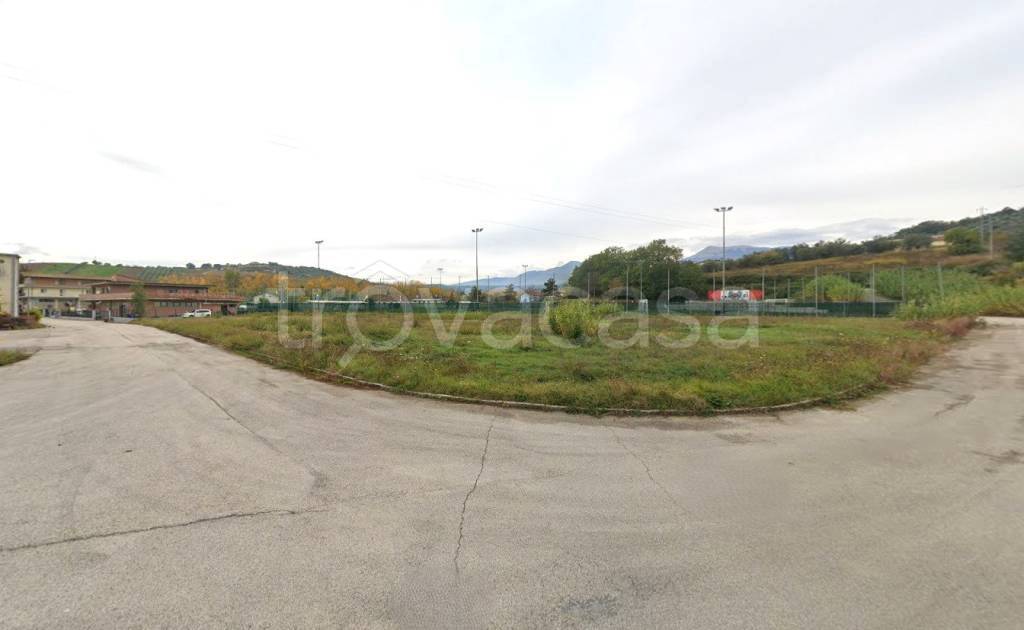 immagine annuncio 3 di 14