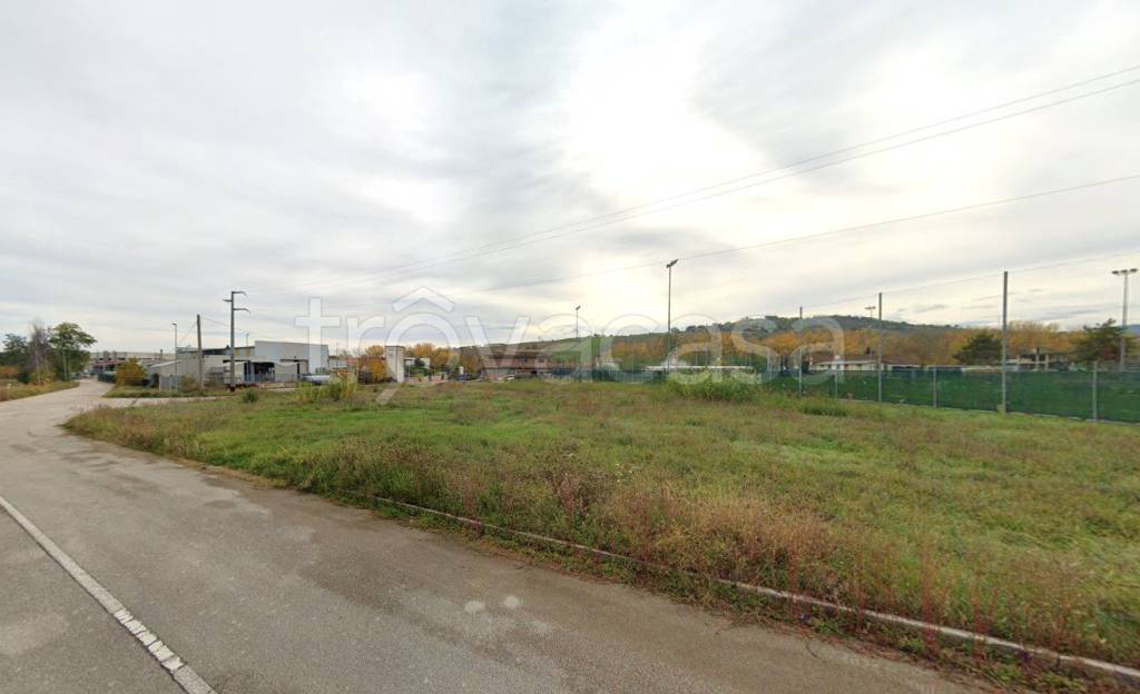 immagine annuncio 5 di 14