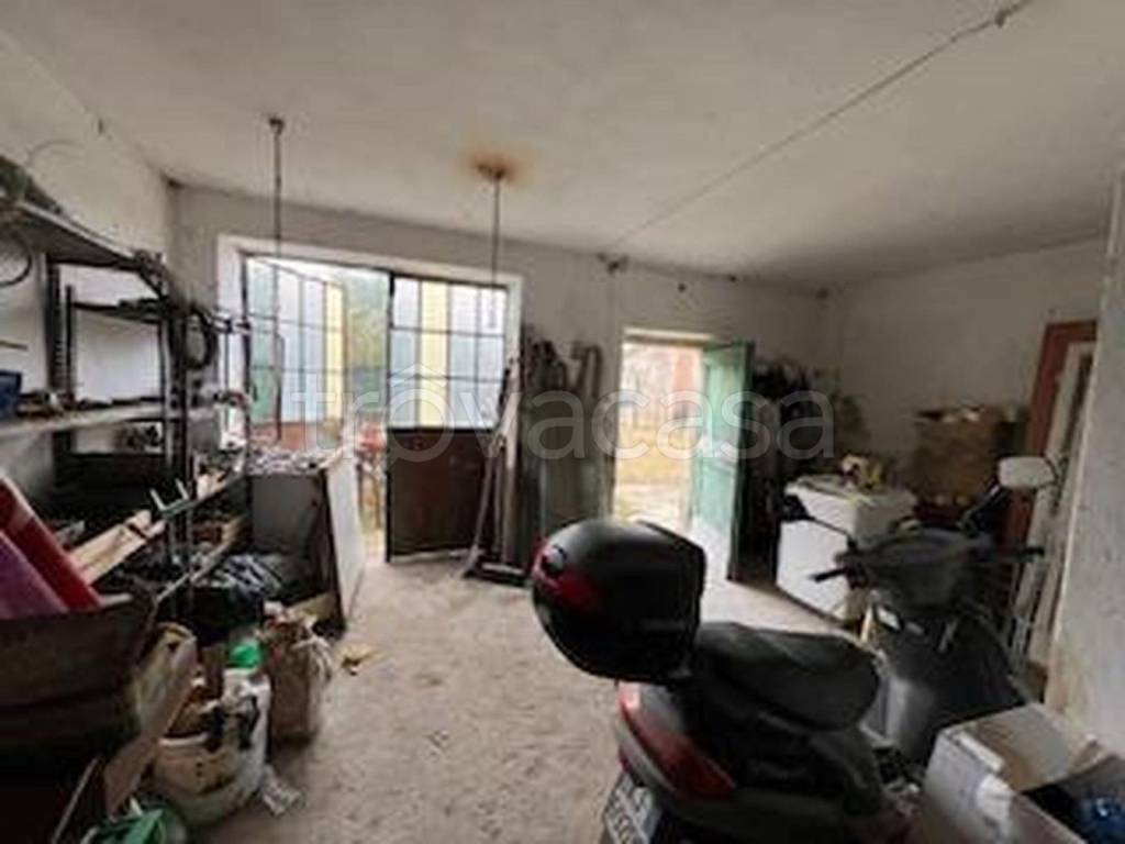 immagine annuncio 12 di 14