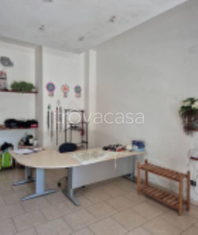 immagine annuncio 5 di 11