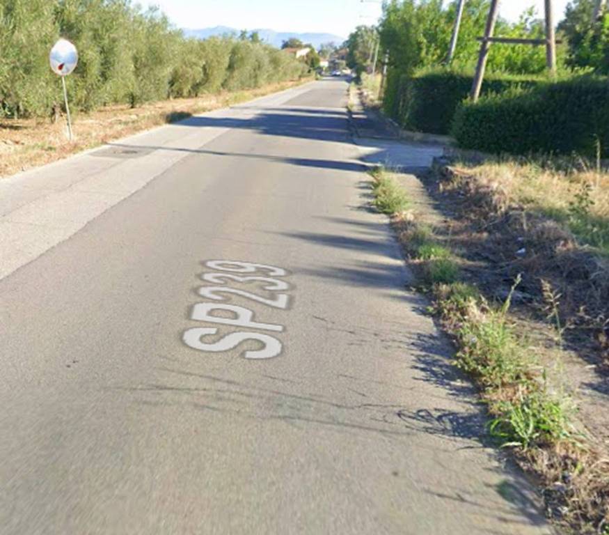 immagine annuncio 2 di 13