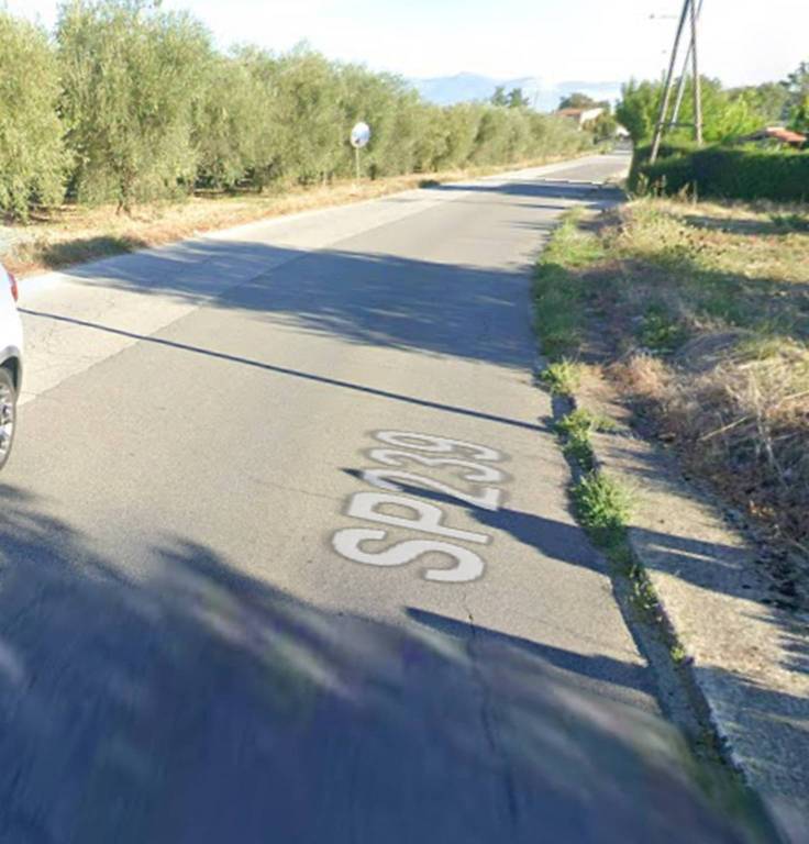 immagine annuncio 3 di 13