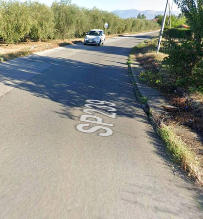 immagine annuncio 4 di 13