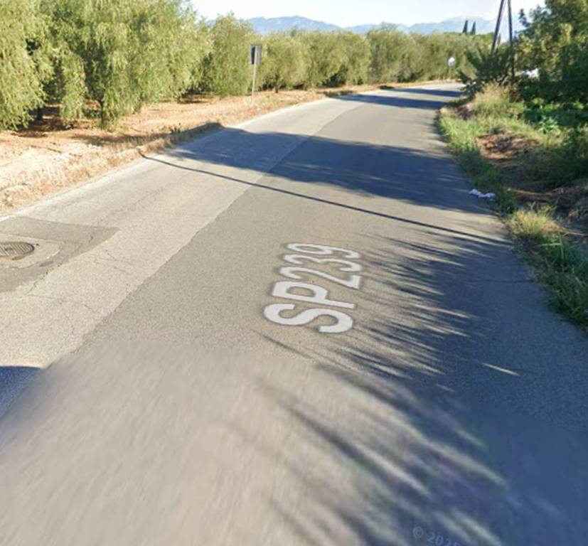 immagine annuncio 7 di 13