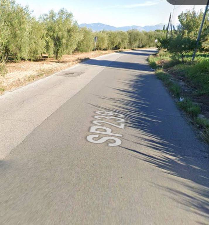 immagine annuncio 9 di 13