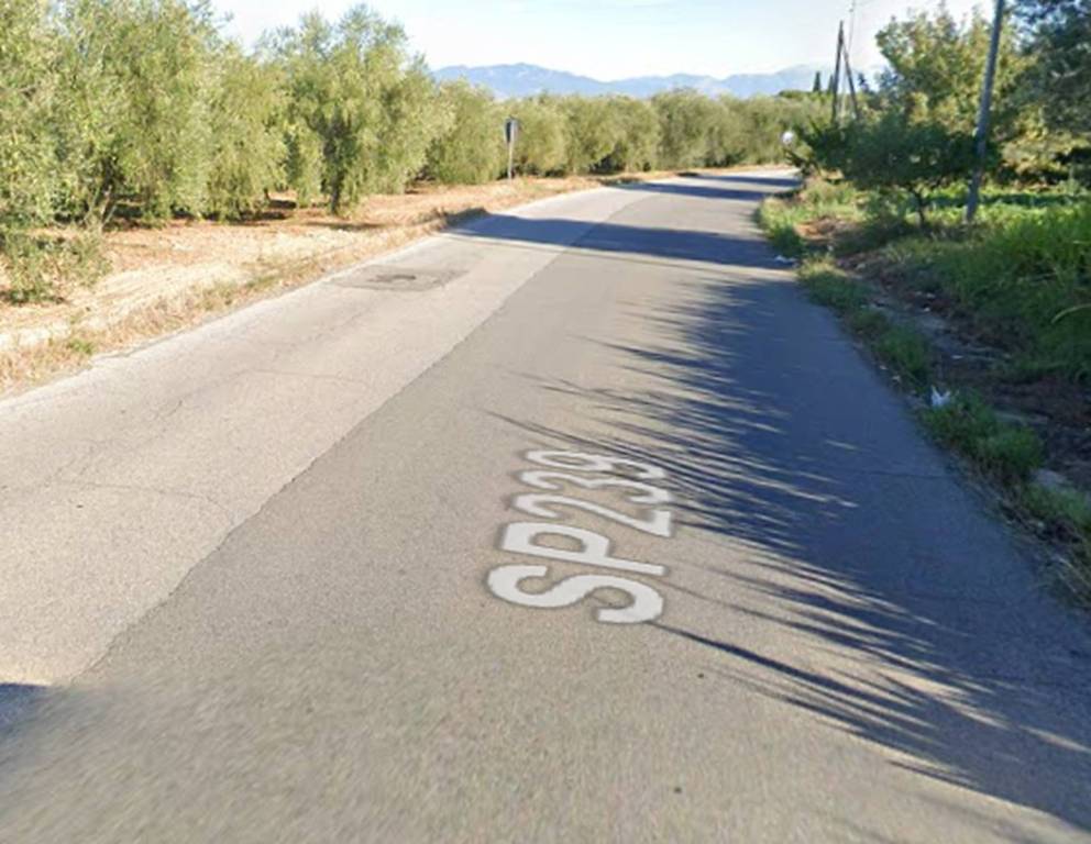 immagine annuncio 10 di 13