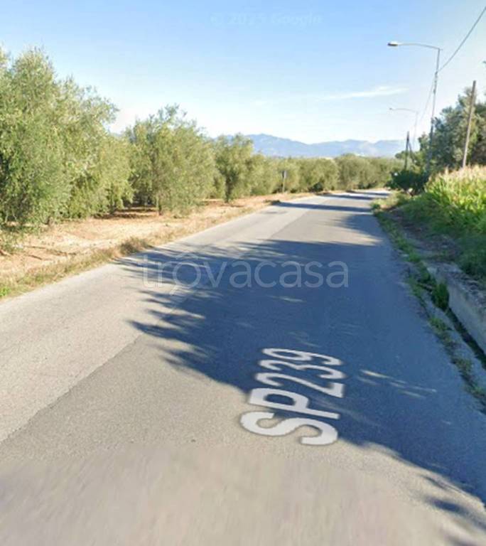 immagine annuncio 11 di 13