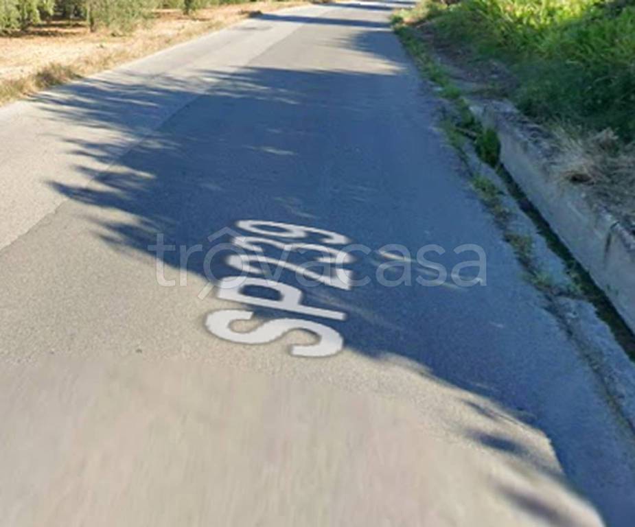 immagine annuncio 12 di 13