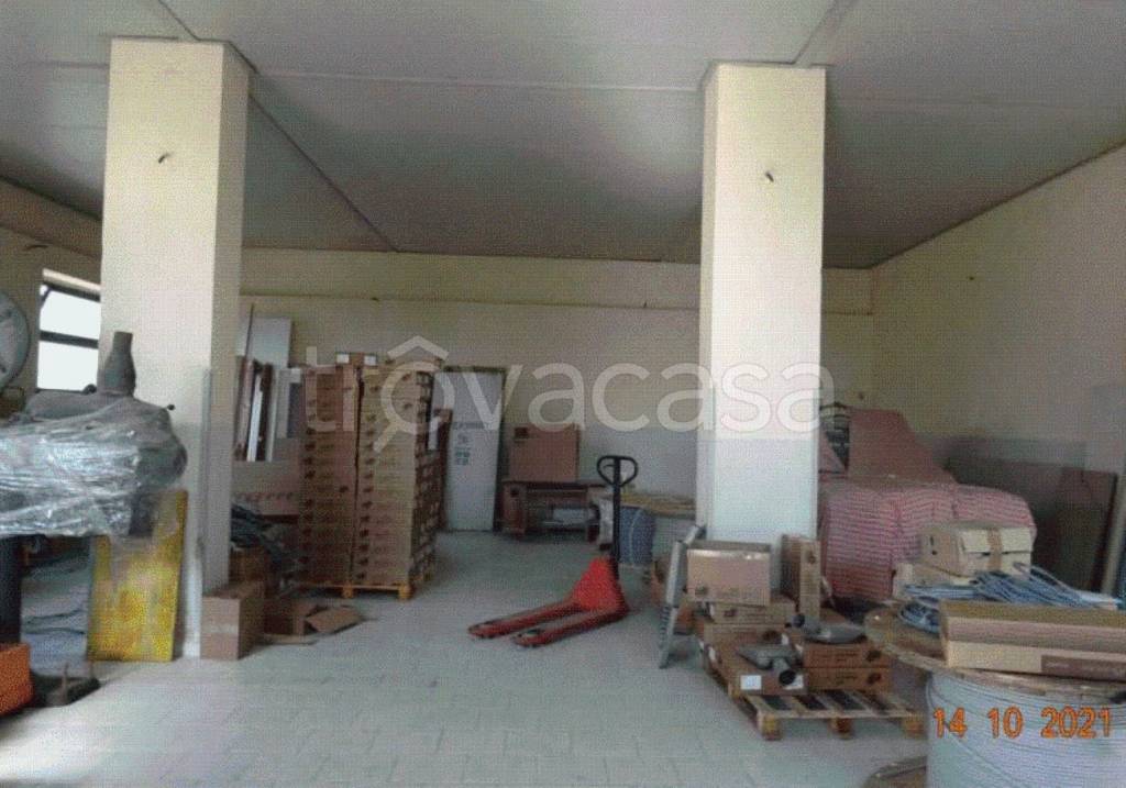 immagine annuncio 8 di 12