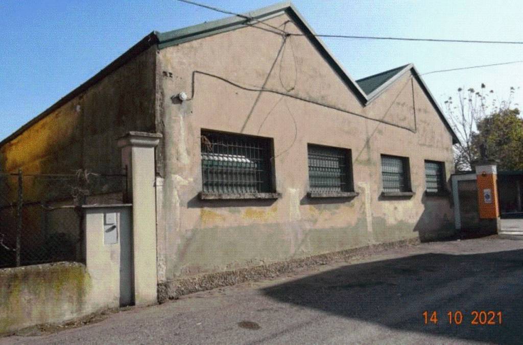 immagine annuncio 10 di 12