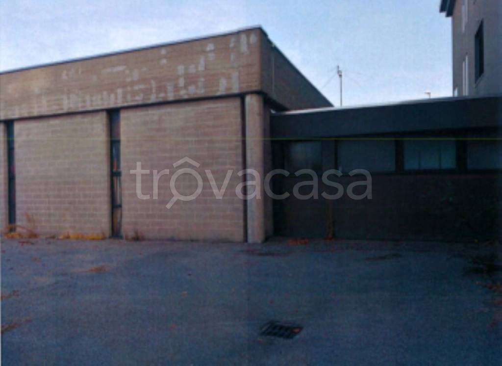 immagine annuncio 2 di 13