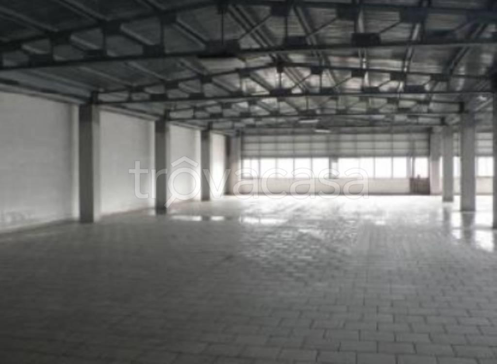 immagine annuncio 4 di 11