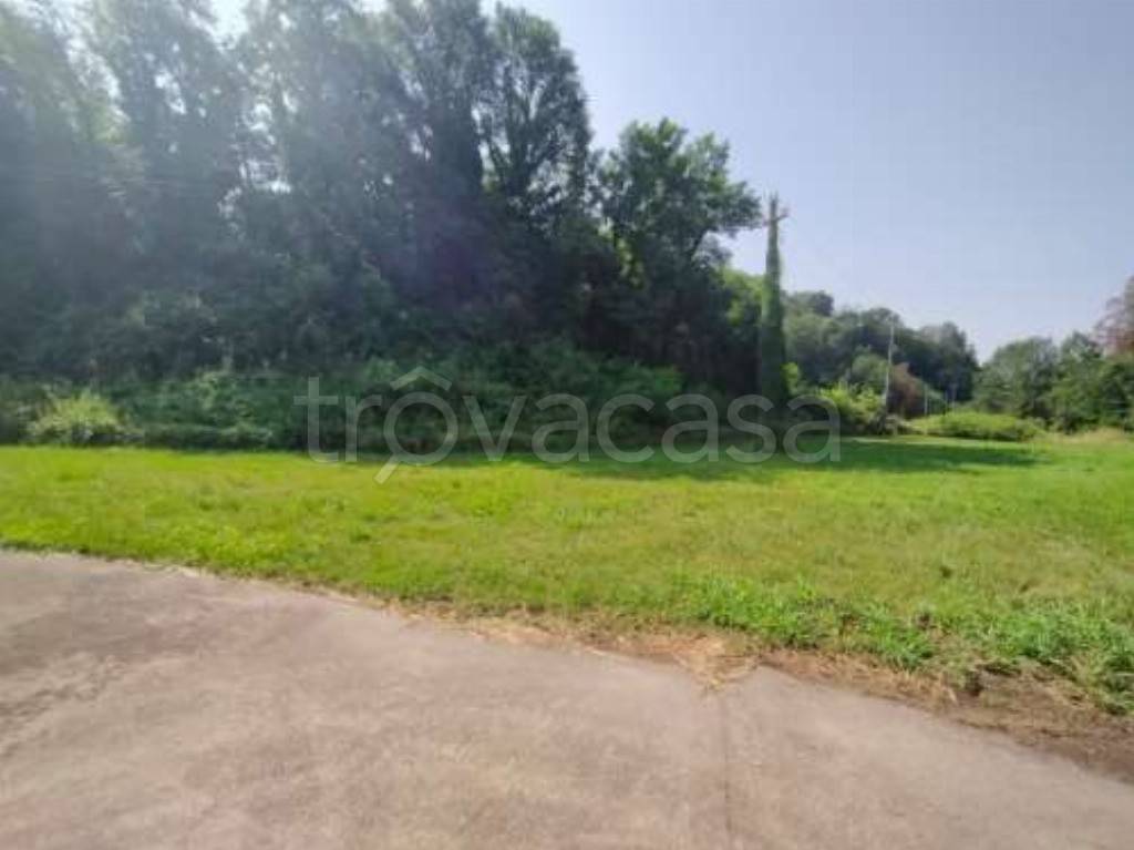 immagine annuncio 2 di 8