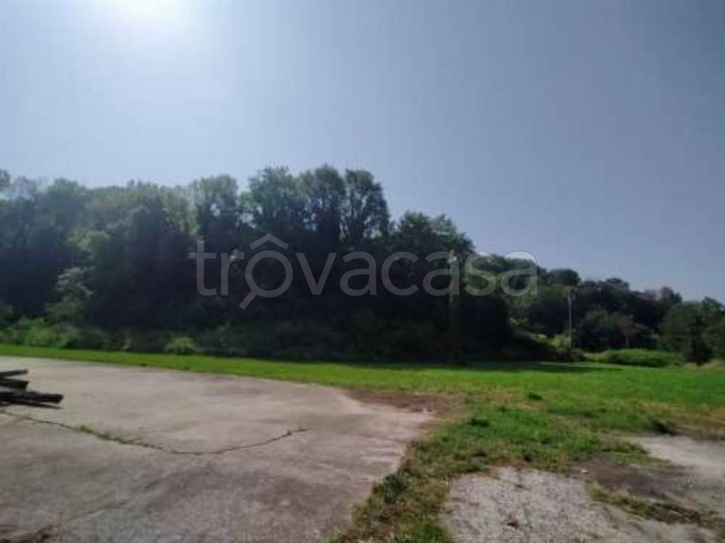 immagine annuncio 3 di 8