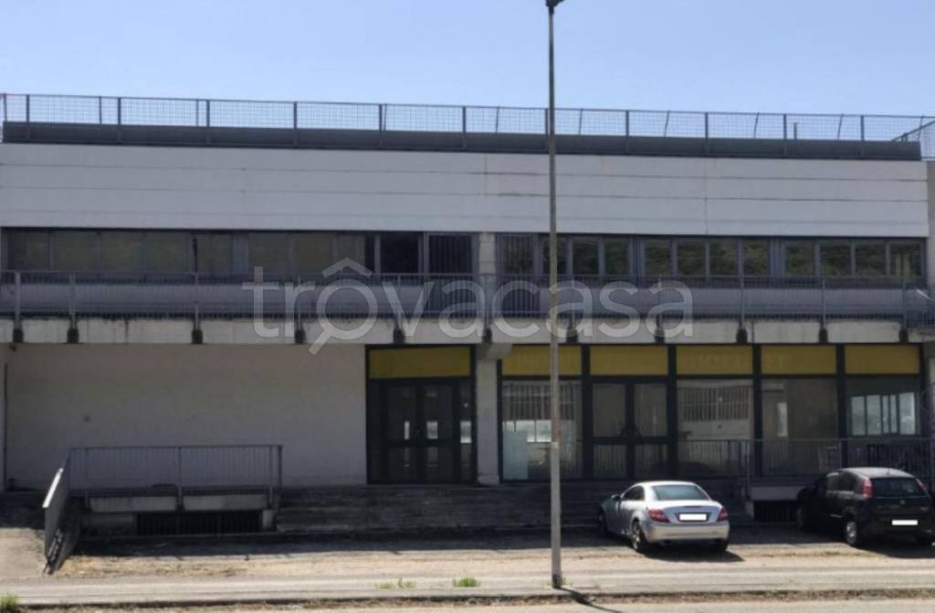 immagine annuncio 3 di 11