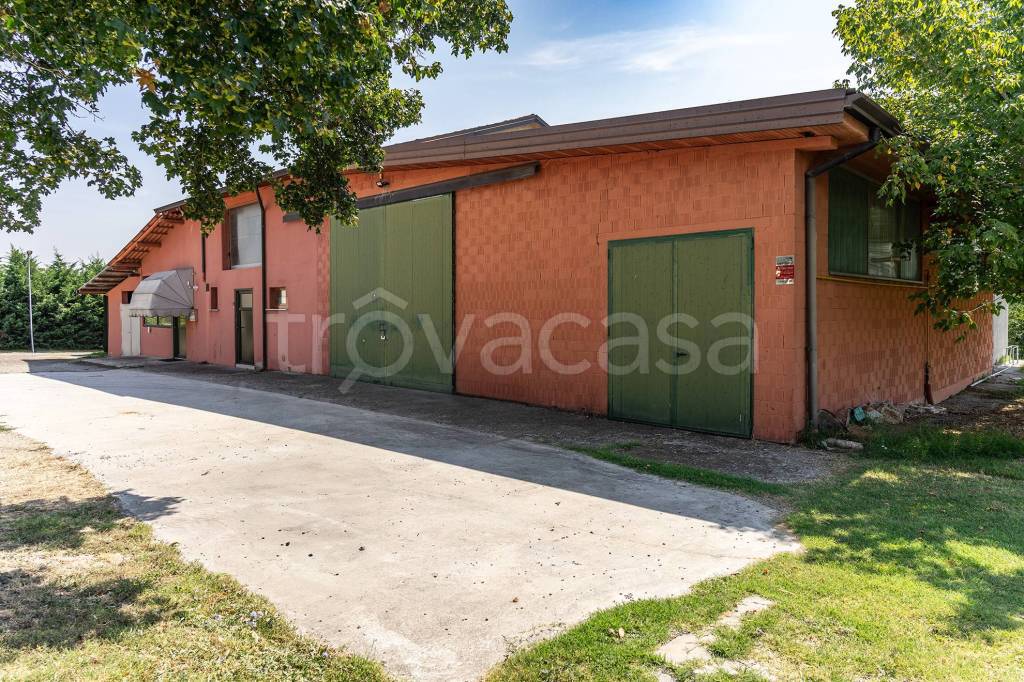 immagine annuncio 2 di 12