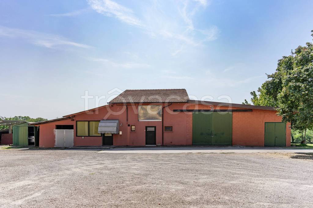 immagine annuncio 1 di 12