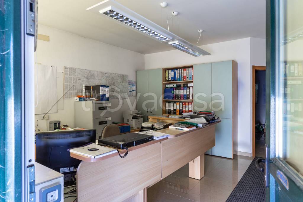 immagine annuncio 3 di 12