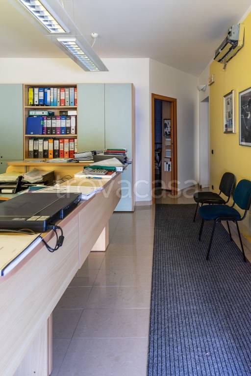 immagine annuncio 4 di 12