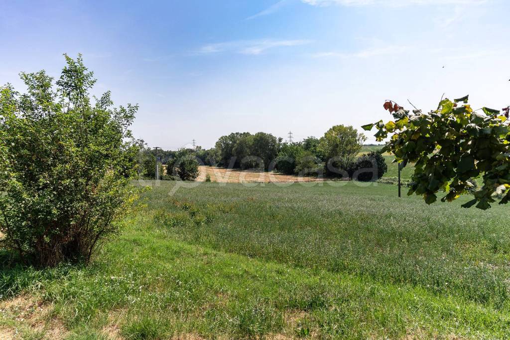 immagine annuncio 6 di 12