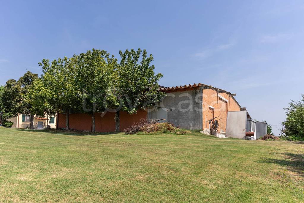 immagine annuncio 11 di 12