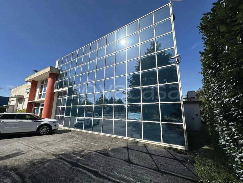 immagine annuncio 2 di 12