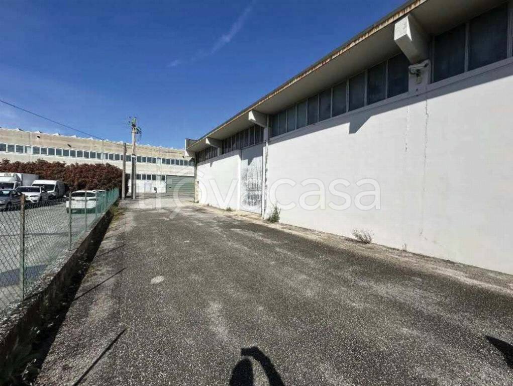 immagine annuncio 4 di 12