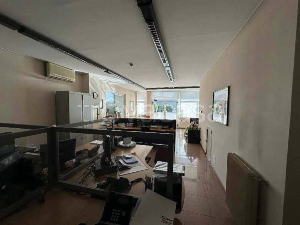 immagine annuncio 7 di 12