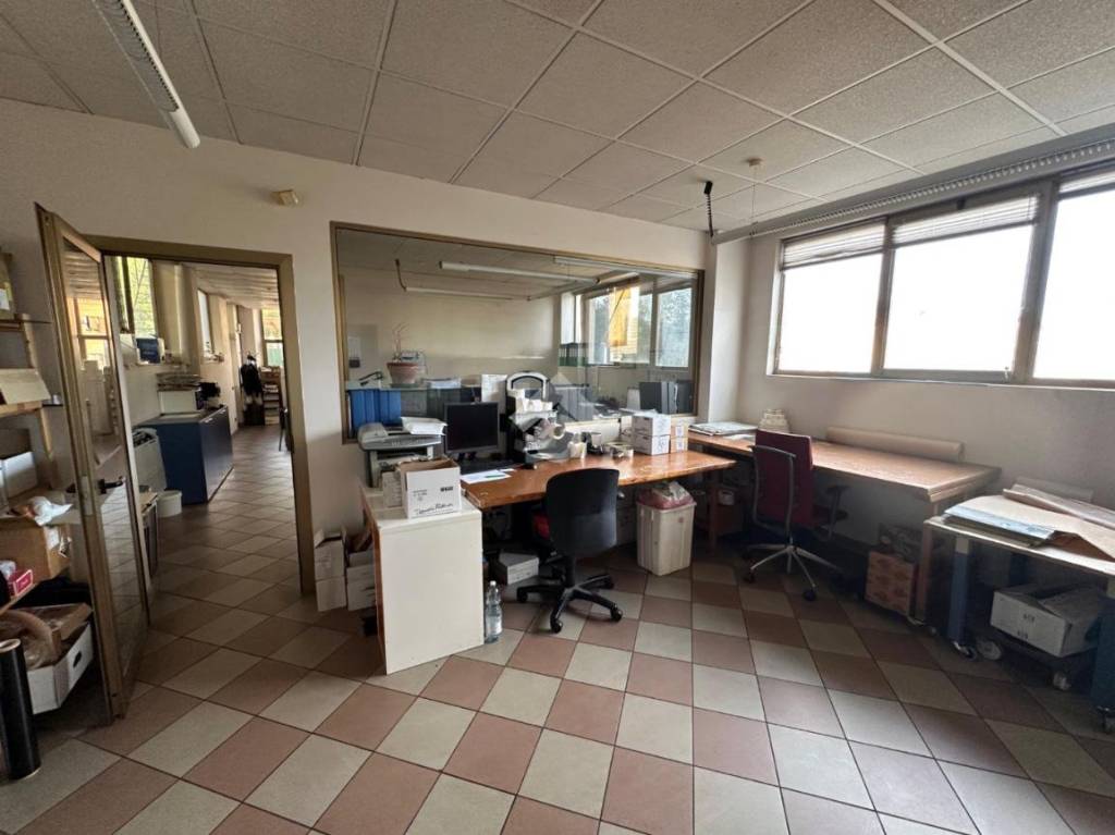 immagine annuncio 2 di 15