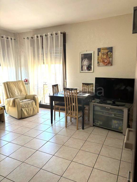 immagine annuncio 1 di 14