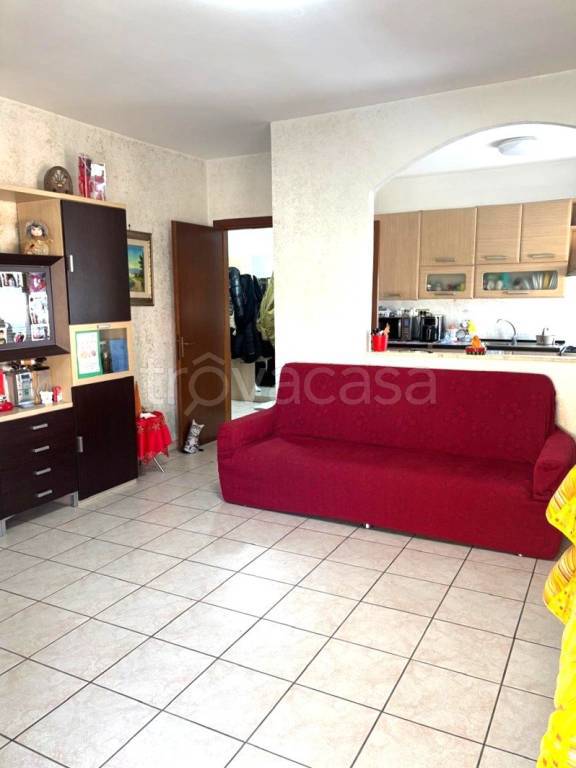 immagine annuncio 4 di 14