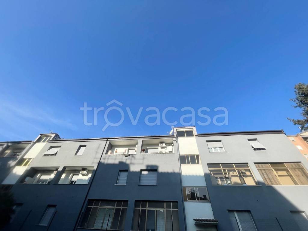 immagine annuncio 10 di 13