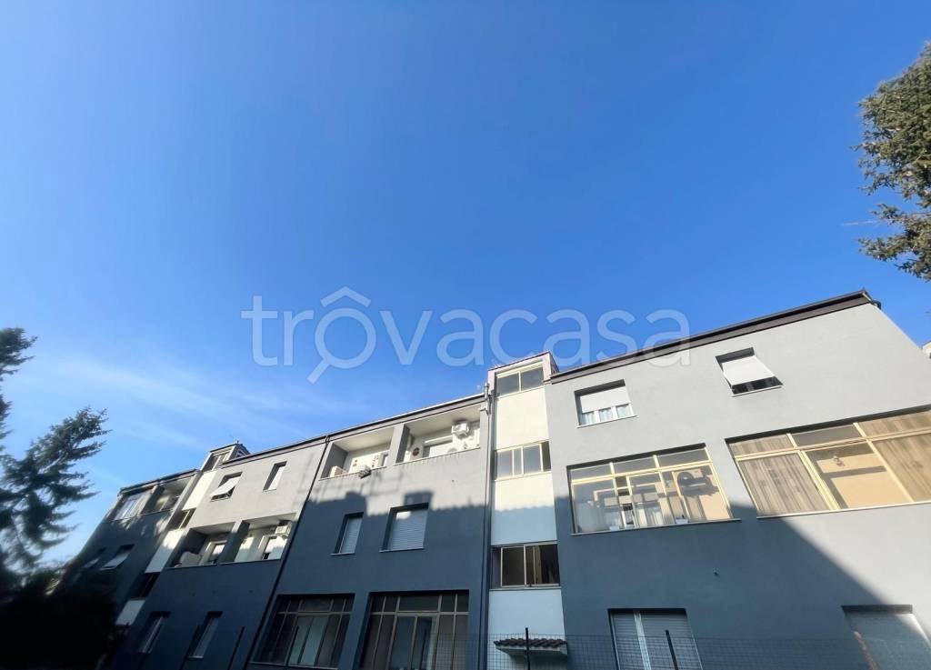 immagine annuncio 9 di 13