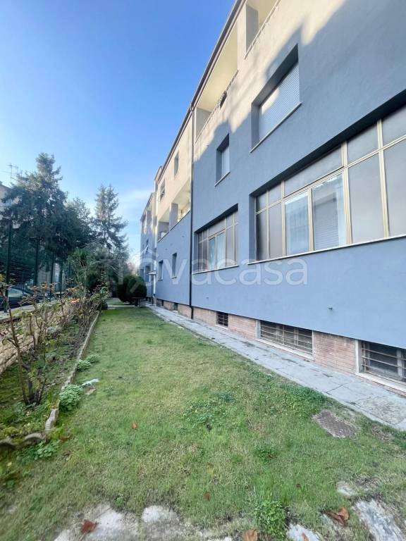 immagine annuncio 11 di 13