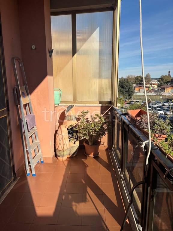 immagine annuncio 12 di 14