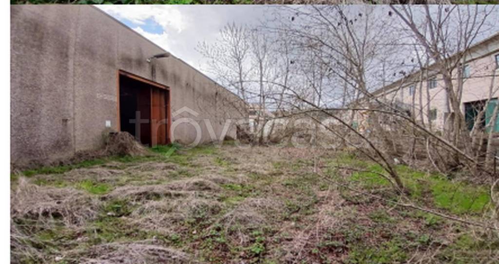 immagine annuncio 5 di 11