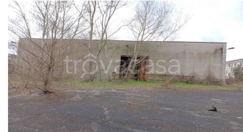 immagine annuncio 6 di 11