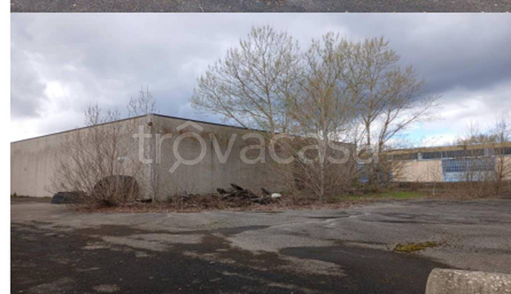 immagine annuncio 7 di 11