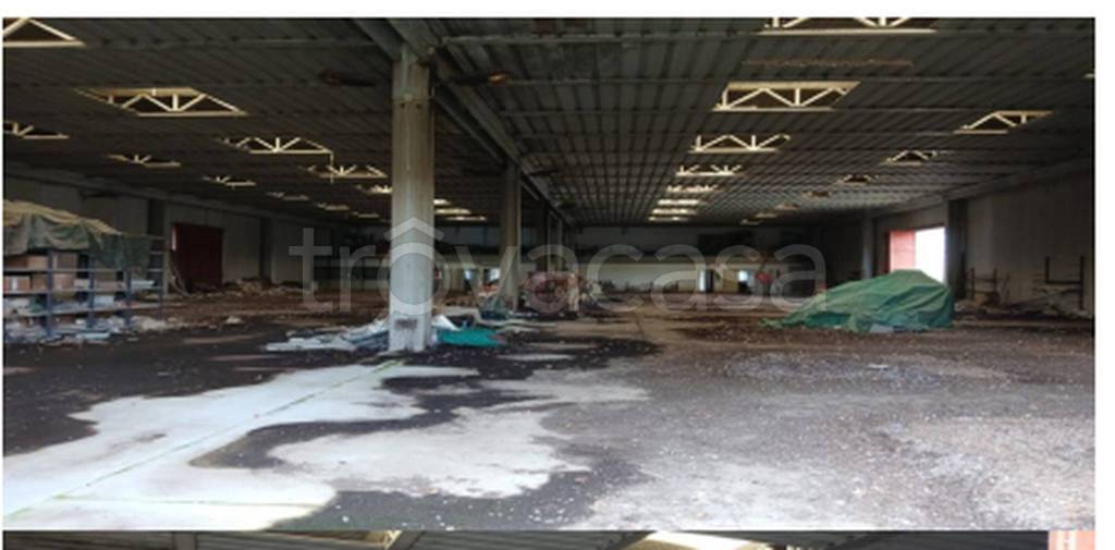 immagine annuncio 9 di 11