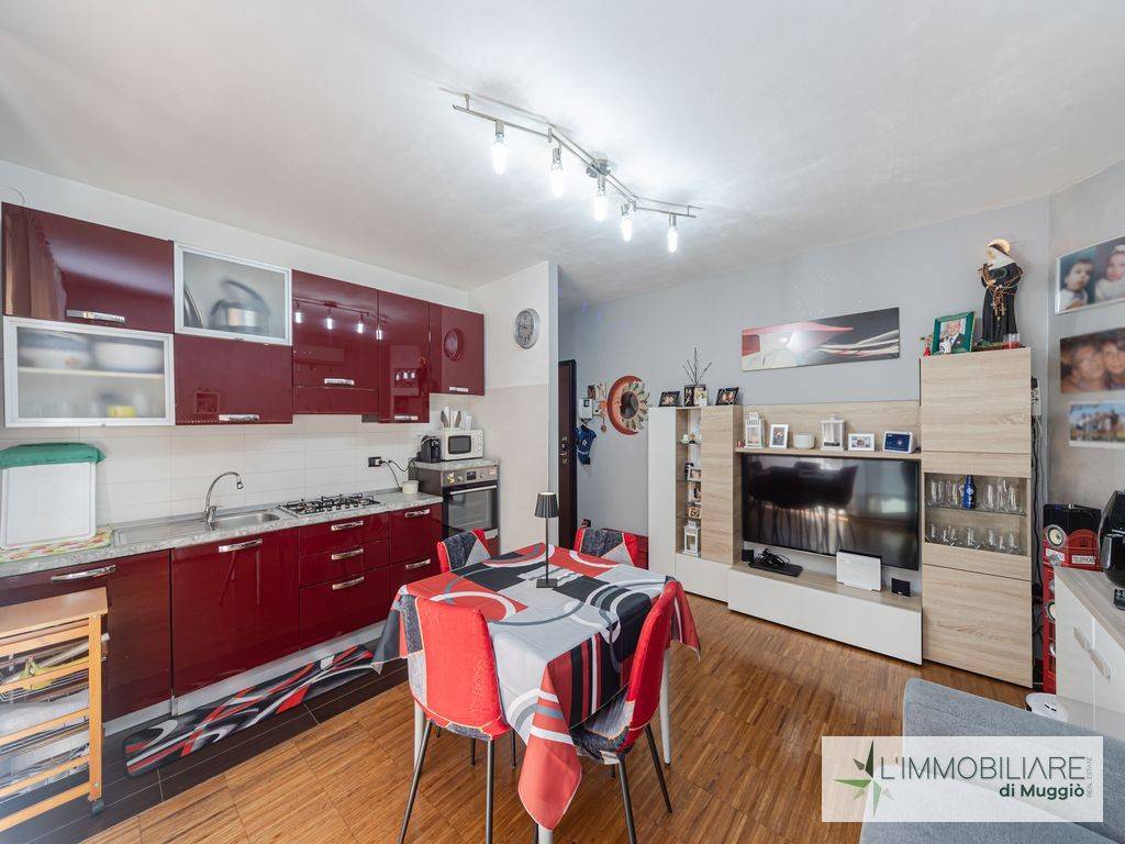 immagine annuncio 3 di 15