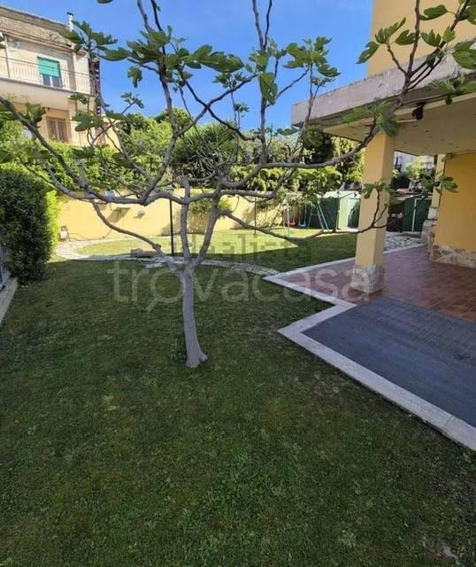 immagine annuncio 2 di 14