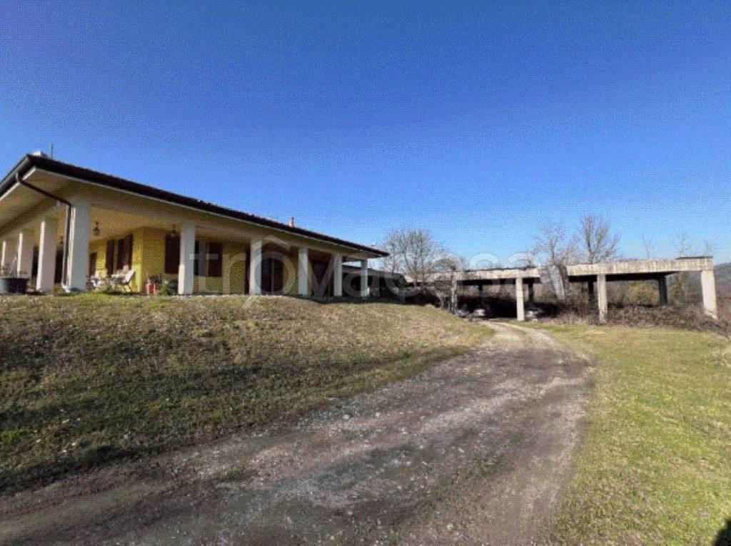 immagine annuncio 12 di 14