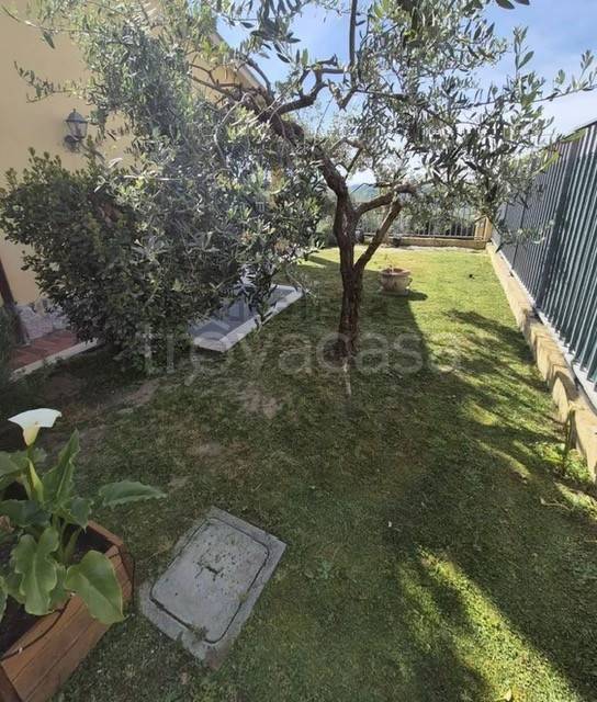 immagine annuncio 5 di 14