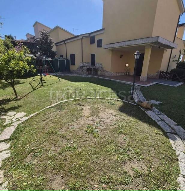 immagine annuncio 6 di 14