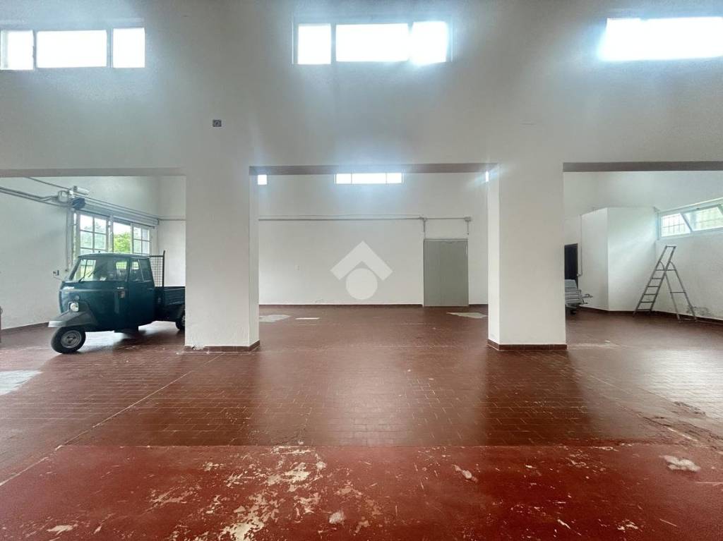 immagine annuncio 6 di 13