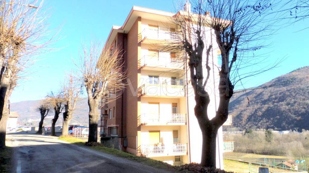 immagine annuncio 1 di 14