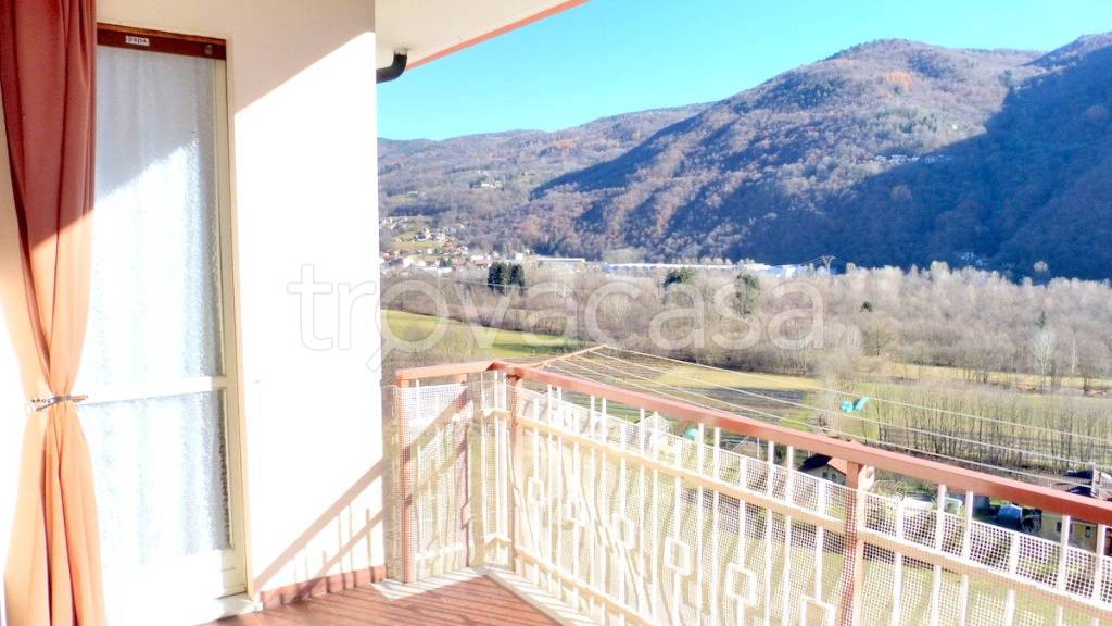 immagine annuncio 12 di 14