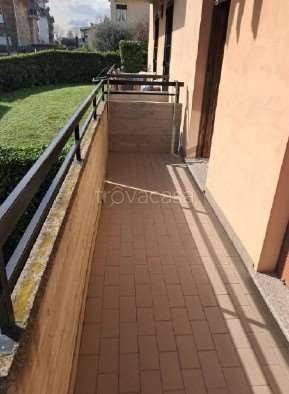 immagine annuncio 2 di 12